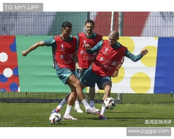 2019年葡萄牙与荷兰激战回顾：精彩瞬间与战术分析